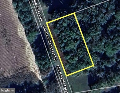 0 Chesterville Forest Rd unit PARCEL 84A, 1, Massey, MD 21651 - photo 3