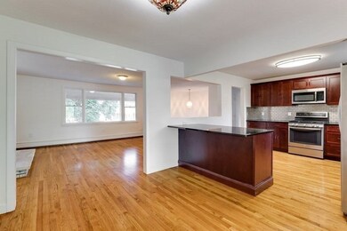 19 Norton St, Boston, MA 02125 - photo 7