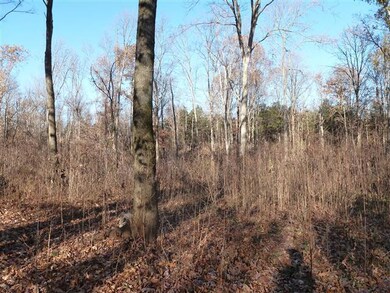 2654 Sims Rd, Shelbyville, TN 37160 - photo 5