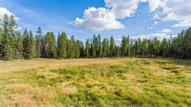 02_WhitefishRanchCourt_181001_AerialView