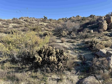 0000 In-Ko-pah Park Rd, Jacumba, CA 91934 - photo 4