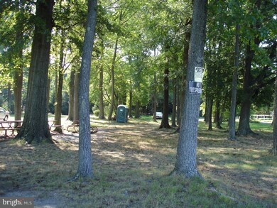 3720 Chestnut Rd, Middle River, MD 21220 - photo 5