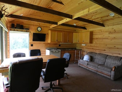 TBD W Ffh 79 Camp, White Pine, MI 49971 - photo 7