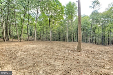 00 Pheasant Rd, West Hanover Township, PA 17112 - photo 6