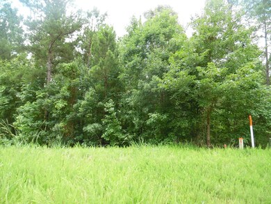 60 & 61 Westwind Harbour Rd, Lincolnton, GA 30817 - photo 3