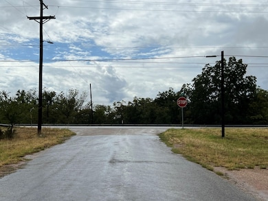 101 Bickenbach Ave, Mason, TX 76856 - photo 4