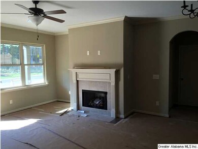 Den with gas log fireplace