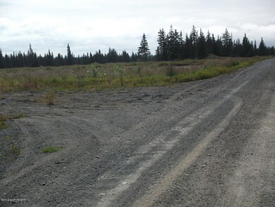 Road & Driveway