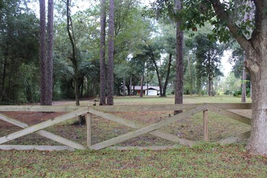 6322 County Road 214, Keystone Heights, FL 32656 - photo 3