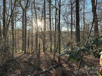 35 Westview Dr, Marion, NC 28752 - photo 7