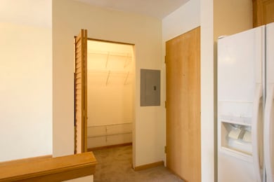 2919 N Harlem Ave unit 208, Chicago, IL 60707 - photo 4