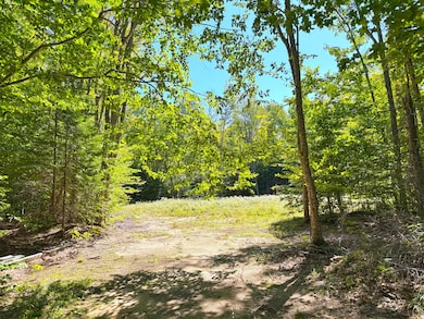 5146 Michigan 123 unit 5146, Eckerman, MI 49728 - photo 6