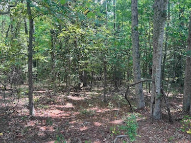 Additional View