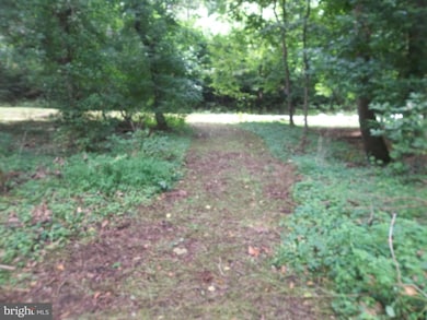 298 Apple Way, Front Royal, VA 22630 - photo 4