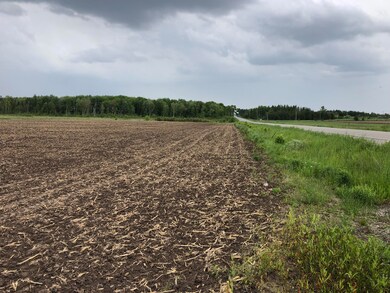 V/L 40AC Long Rapids Rd, Lachine, MI 49753 - photo 6