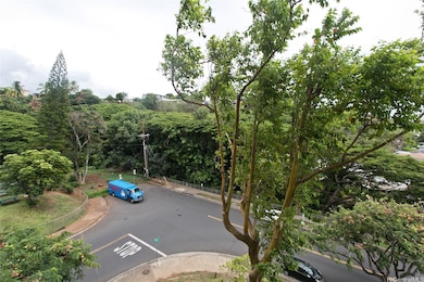 treetop garden view from standing on your lanai