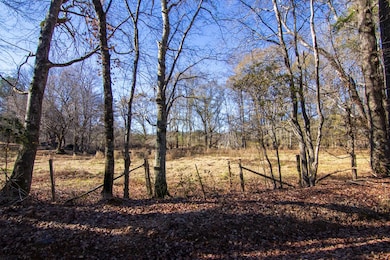 0 Saint Paul Church Rd, Shiloh, GA 31826 - photo 7