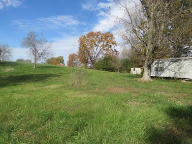 2353 State Rt 209, Olive Hill, KY 41164 - photo 5