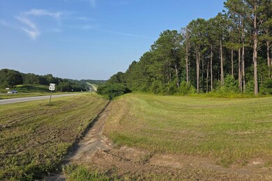 4451 Hwy 431 S, Eufaula, AL 36027 - photo 4