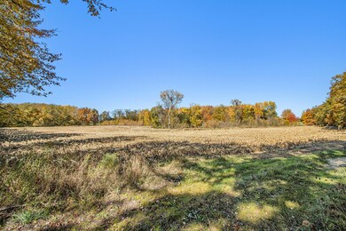 005_1813briddle_9_223