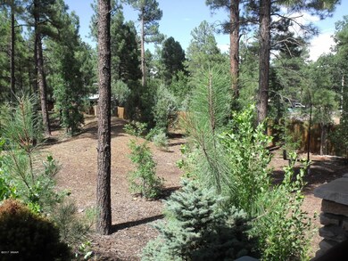 Open Space rear yd 1