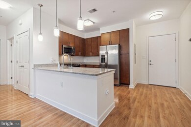 8005 13th St unit 206, Silver Spring, MD 20910 - photo 7
