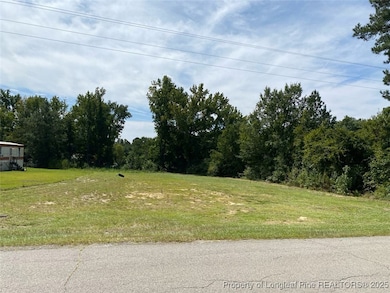 352 Mckay Dr, Spring Lake, NC 28390 - photo 3