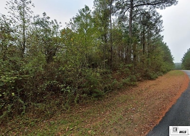 0 Kendrick Springs Rd unit 215703, Haynesville, LA 71038 - photo 2