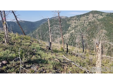 0 Gold Trail, Gold Hill, CO 80302 - photo 3