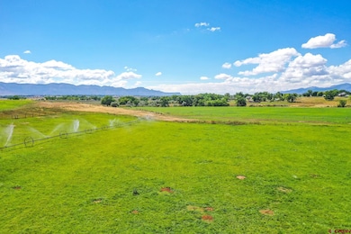 25450 Road N, Cortez, CO 81321 - photo 3