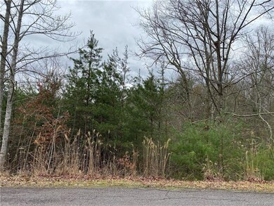 Lot 31 Walnut Cove Rd unit 31, 4, Beech Glenn, NC 28754 - photo 5