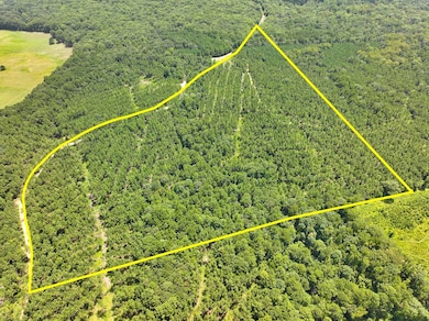 0 Slim Palmer Rd unit 93549026, Zavalla, TX 75949 - photo 2