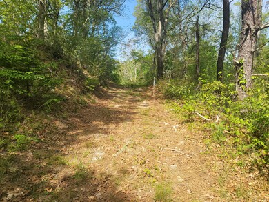 63 N Falmouth Hwy, North Falmouth, MA 2556 - photo 3