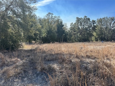 Lot 5 SW 108th St, Dunnellon, FL 34432 - photo 6