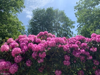 181 Berkley Ave, Belle Mead, NJ 08502 - photo 5