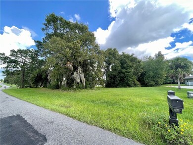 1199 N Hambletonian Dr, Hernando, FL 34442 - photo 4