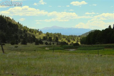 Mountain view with a forest and rural landscape