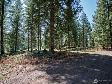 1 Loowit Ln, Cougar, WA 98616 - photo 6