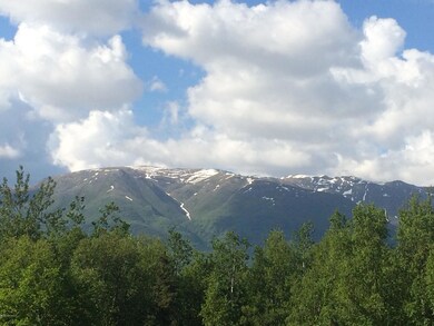 Better view Day!