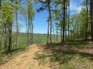 Tract I Ar 7 S, Jasper, AR 72641 - photo 5