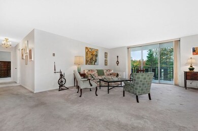 Imperial Towers unit 411, Chestnut Hill, MA 02467 - photo 3