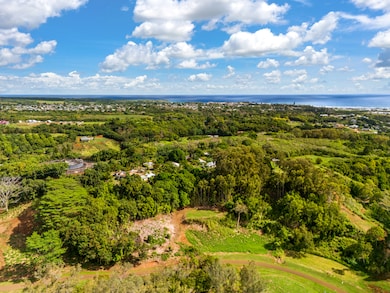 0 Kana St unit 10B 715937, Kapaa, HI 96746 - photo 4