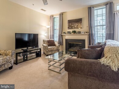 1367C Garden Wall Cir unit 710, Reston, VA 20194 - photo 3