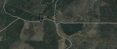 Chimarra crossroad