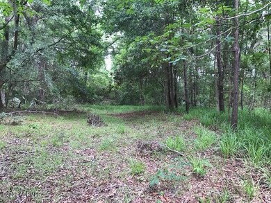 Woods