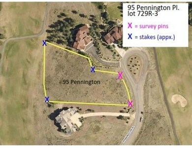 pennington aerial_001