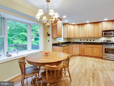 10918 Blue Roan Rd, Oakton, VA 22124 - photo 7