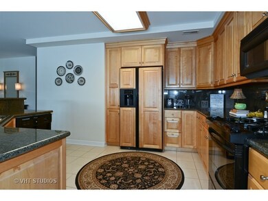 206 N Water St unit 101, Batavia, IL 60510 - photo 6