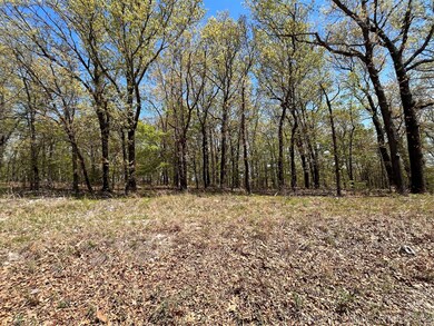 206 Cherokee Trail, Spavinaw, OK 74366 - photo 4