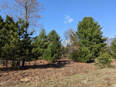 0 Jussi St unit 23021805, Kaleva, MI 49645 - photo 4